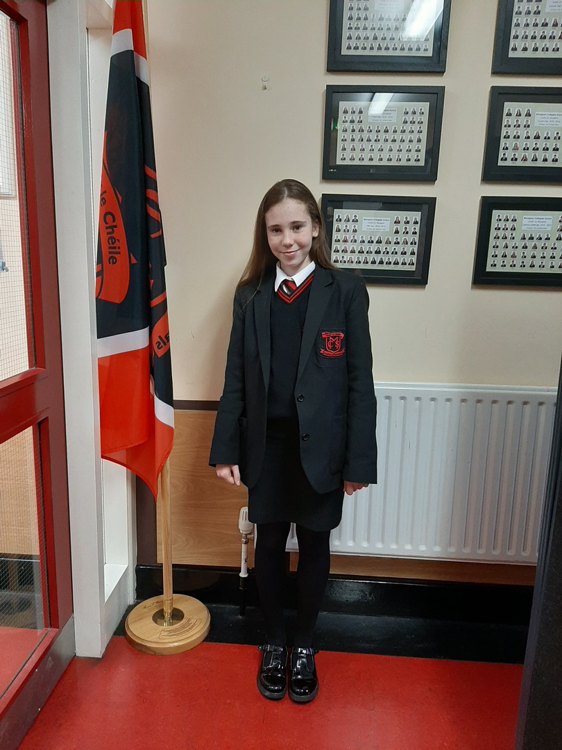 Girls Uniform with optional jumper (Copy) Girls Uniform with optional jumper (Copy)